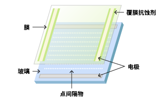 显示面板结构图：薄膜、覆盖阻剂、电极、玻璃和点间隔器的布置