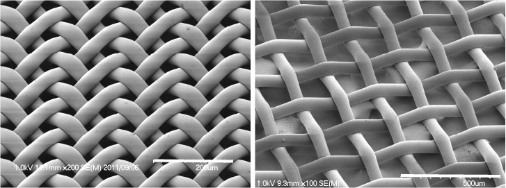 SEM image of the mesh