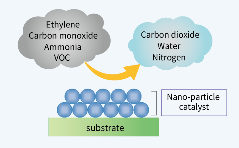 Illustration of the reaction pathway between a catalyst and a malodorous gas.