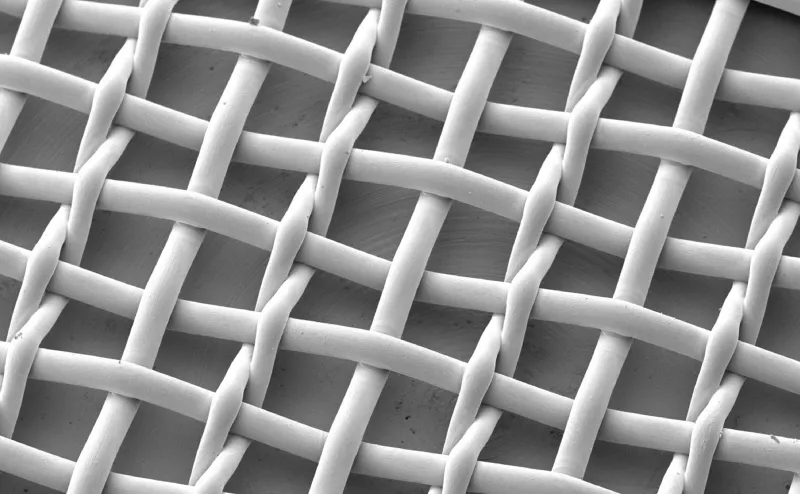 SEM image of sieve mesh (special plain weave)