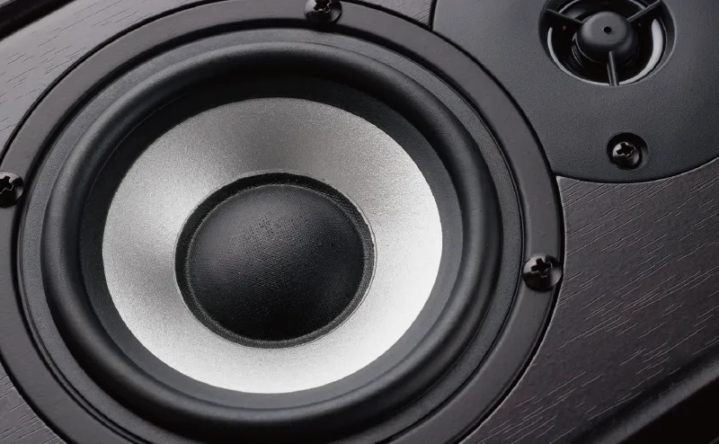 Photo of a speaker with the sound-producing part prominently shown