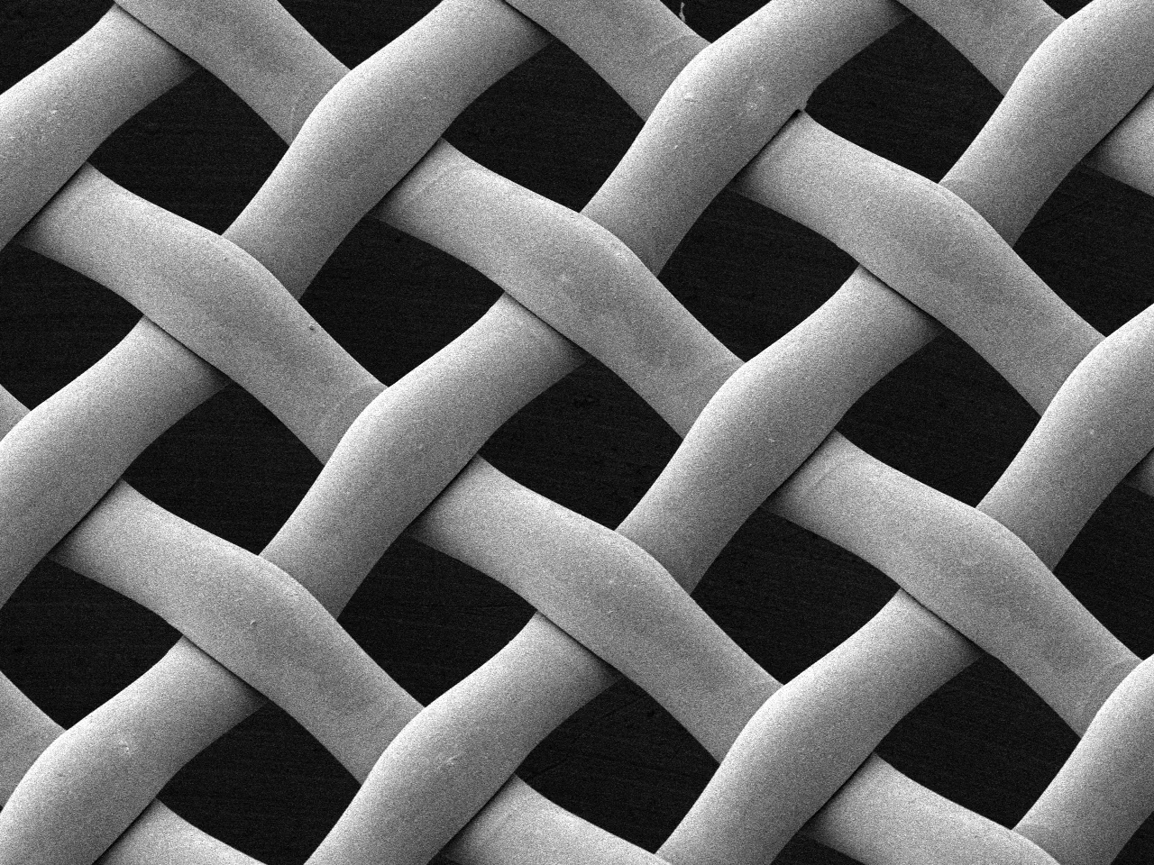 Enlarged image taken with SEM of AS SCREEN