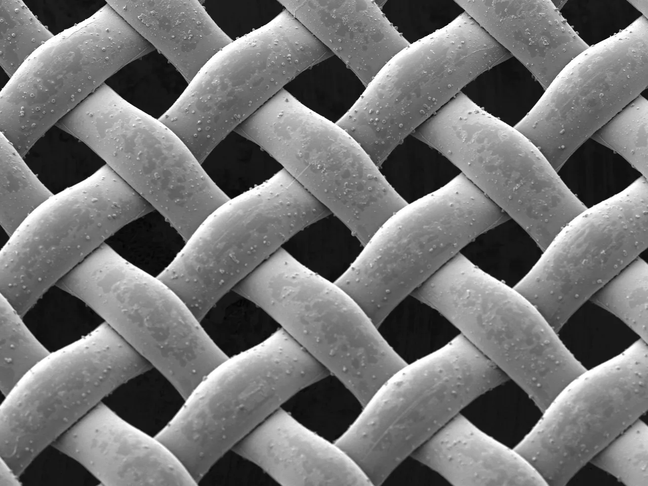 Enlarged image taken with SEM of SUPPORT-MESH