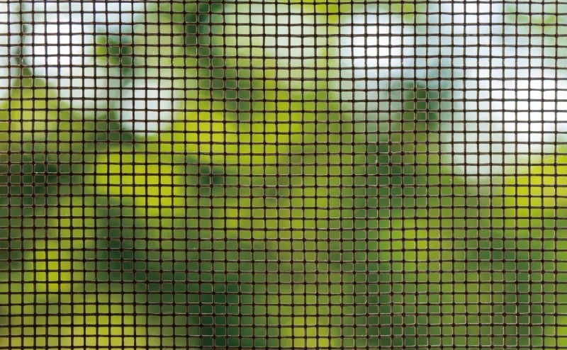 メッシュで虫を防いでいる
